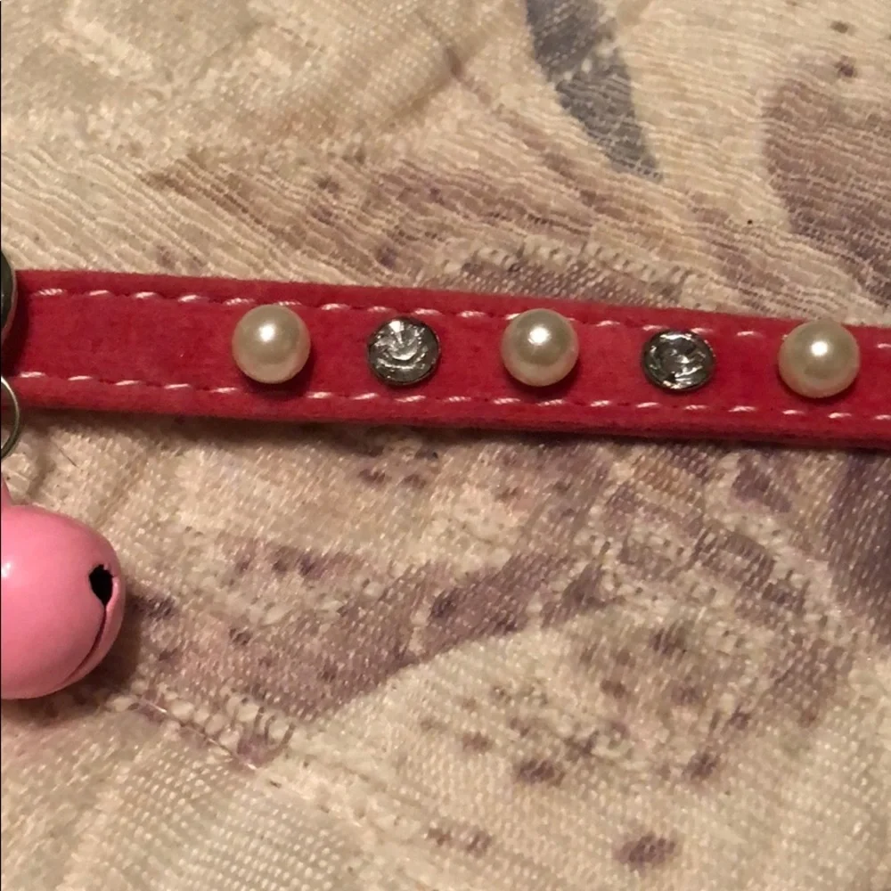 NWT 3 collars for cat or small dog